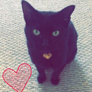 Meet your Posher, Caitlin